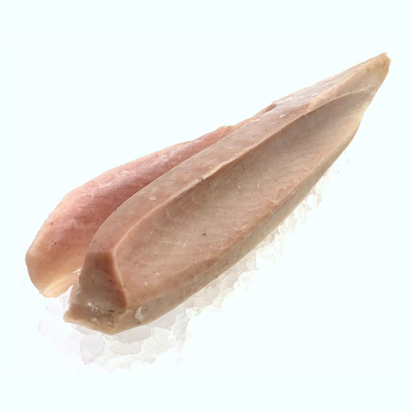 Albacore Tuna