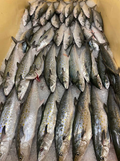 Whole Mackerel