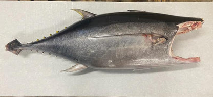 Ahi Tuna