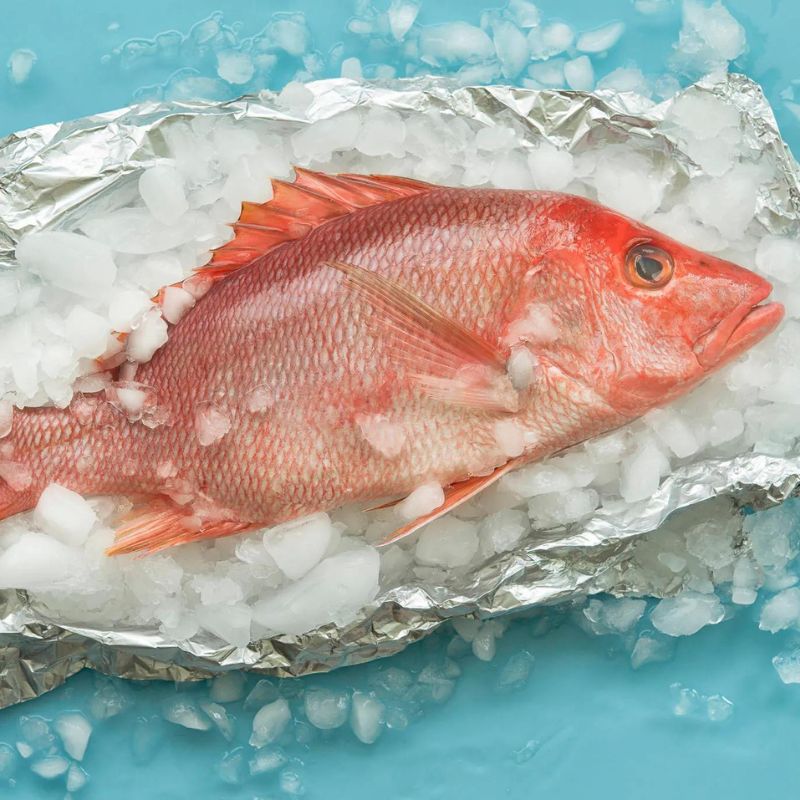 Buy Red Snapper Fish | Wild-Caught, Fresh & Delicious ...