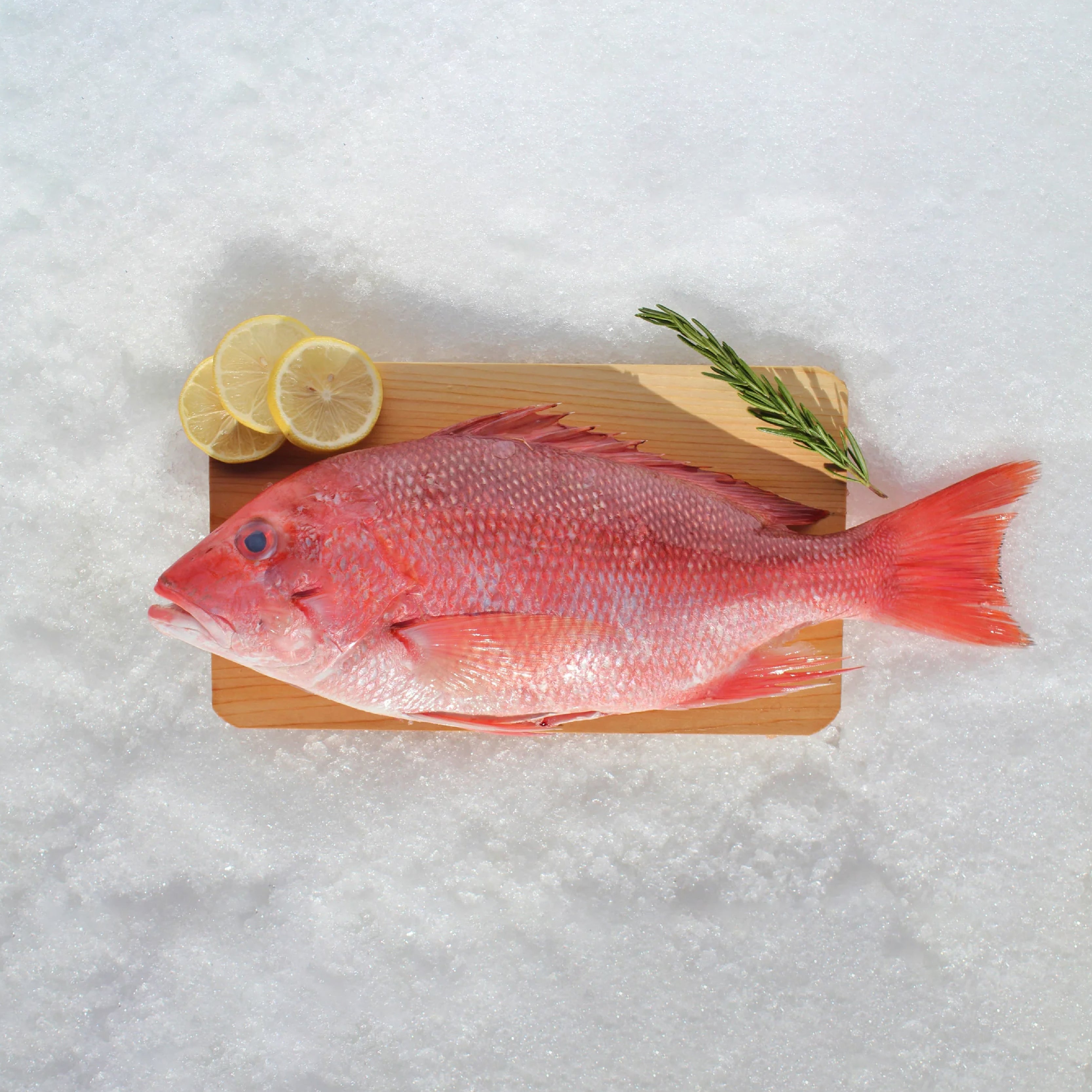 Best Whole Snapper | Premium Fresh Seafood | Florida Fresh Fish ...