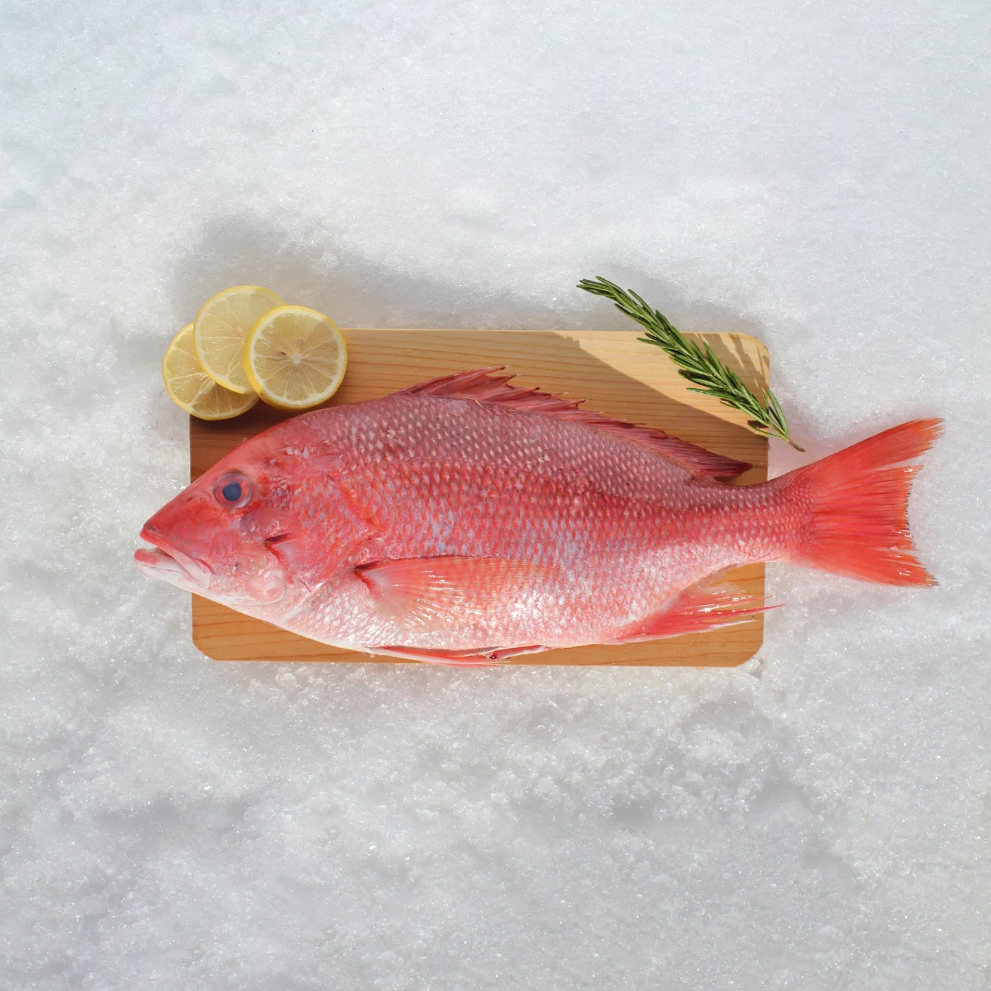 Whole Snapper